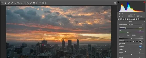 Image Processing Software