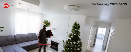 Visual Evidence Capture