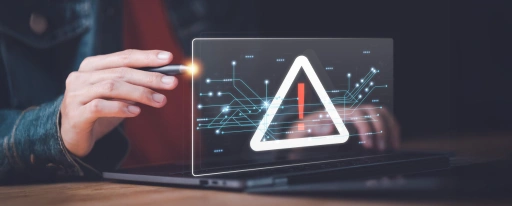 Risk Management and Fraud Detection